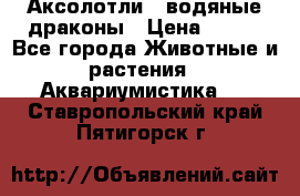 Аксолотли / водяные драконы › Цена ­ 500 - Все города Животные и растения » Аквариумистика   . Ставропольский край,Пятигорск г.